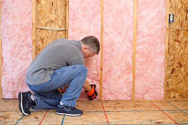 Types of Insulation We Offer in Elkridge, MD