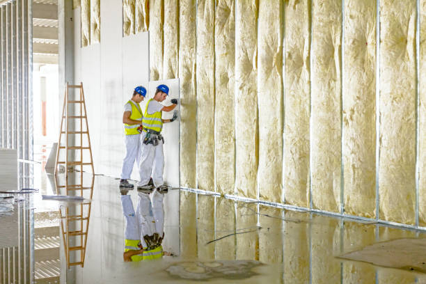 Best DIY Insulation Kits and Guidance in Elkridge, MD